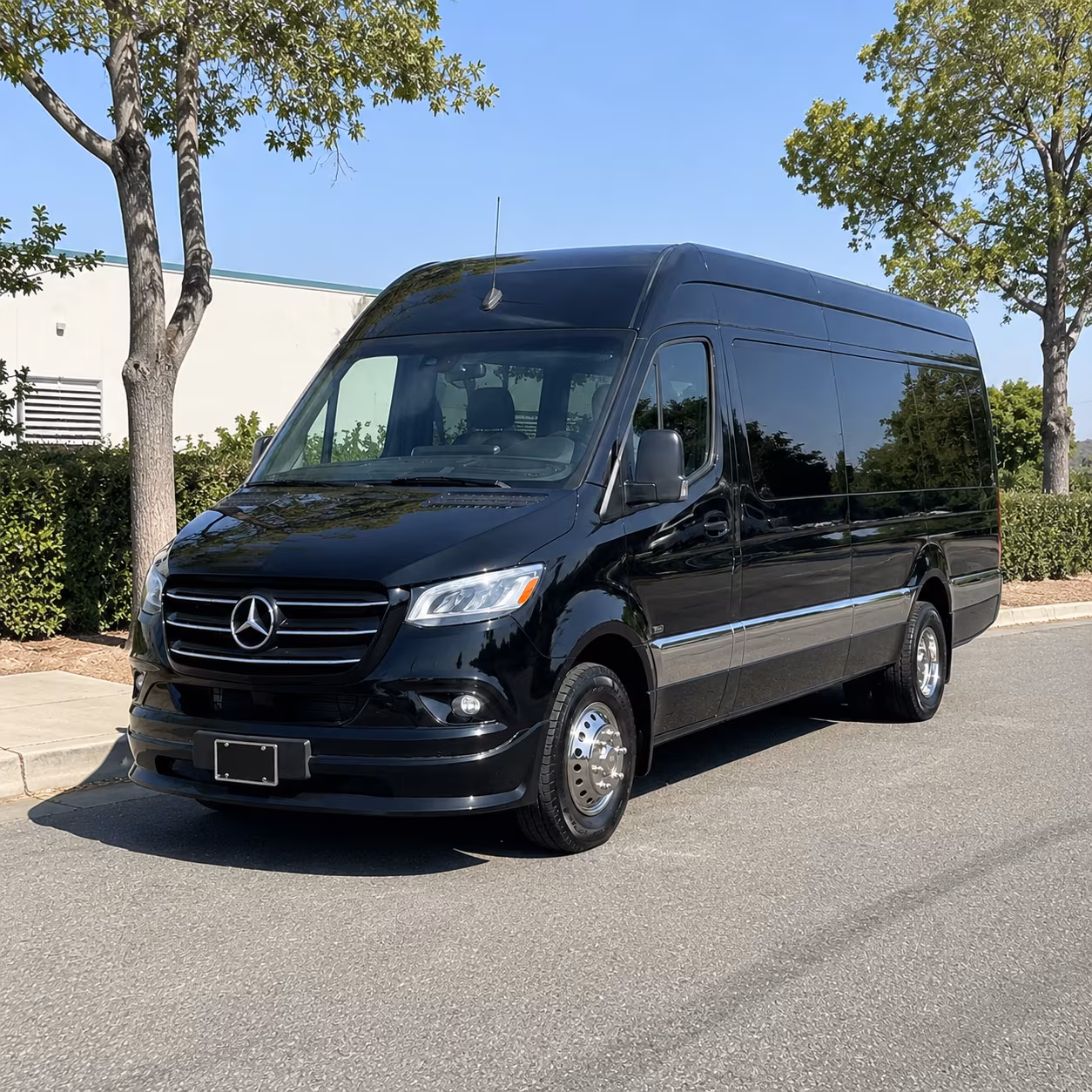 14 Passenger Sprinter Limo Exterior