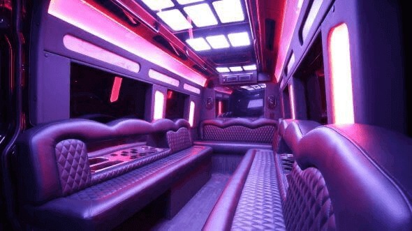 riverside 18 passenger party bus inside